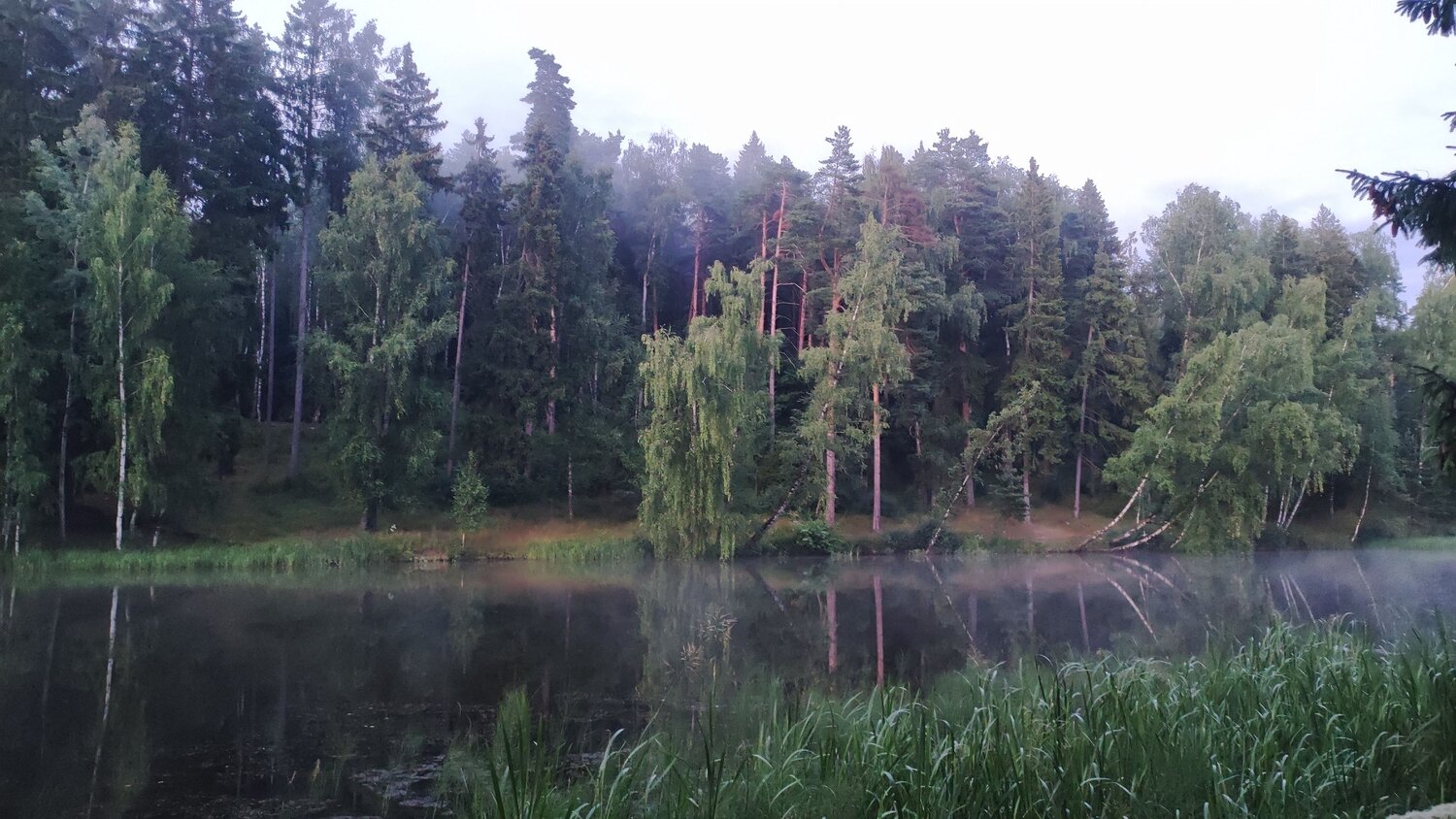 Летний вечер.
