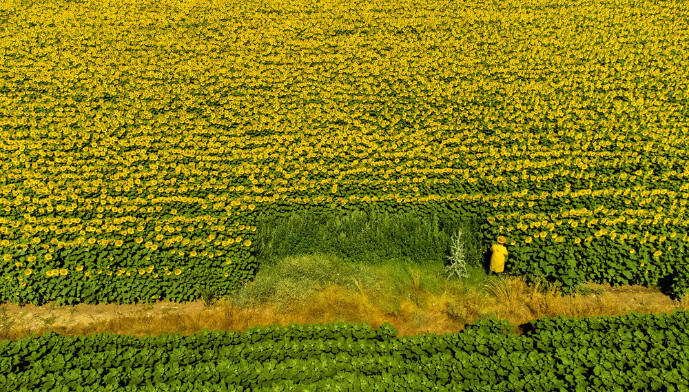Photograph by Esra ERŞAHİN