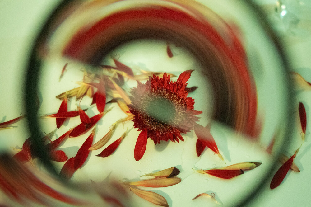 Photograph by Маргарита Матвеенкова