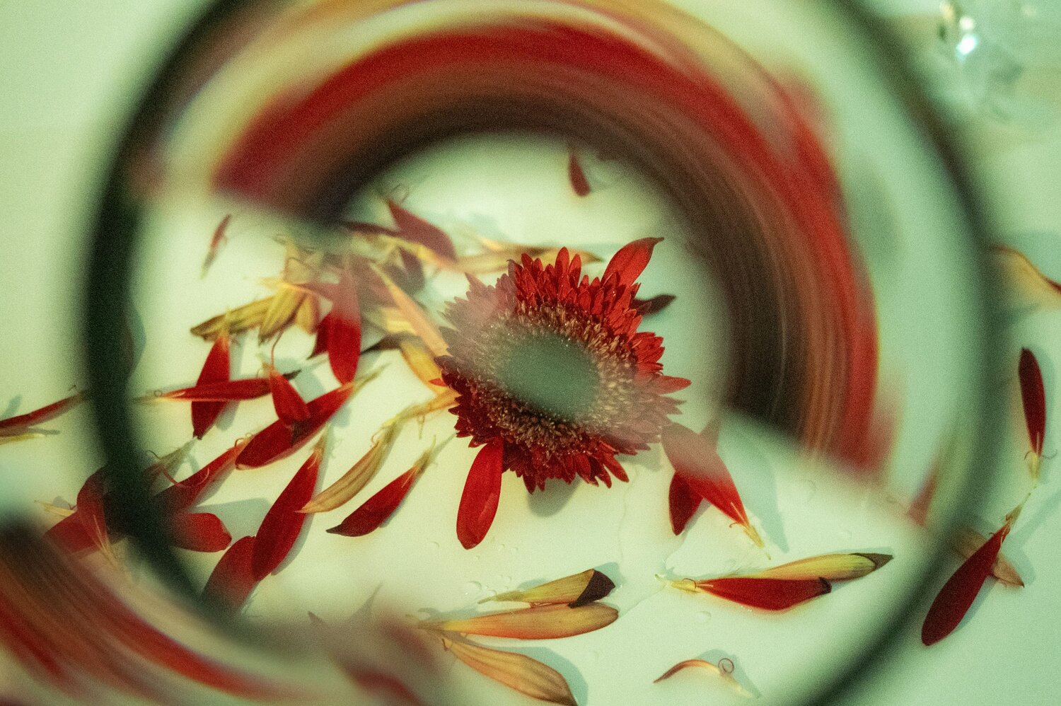 Photo #13850074