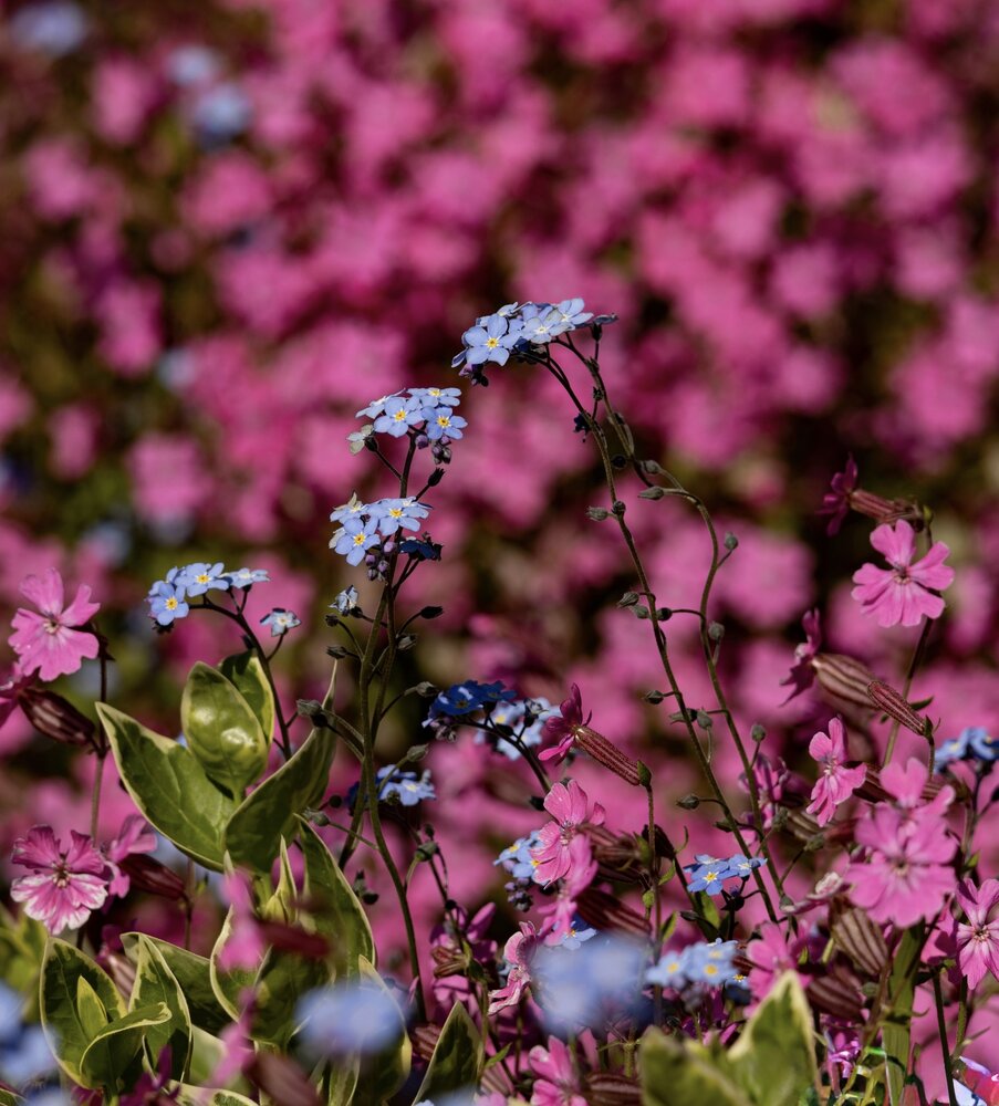 Photograph by Ирина Бабич
