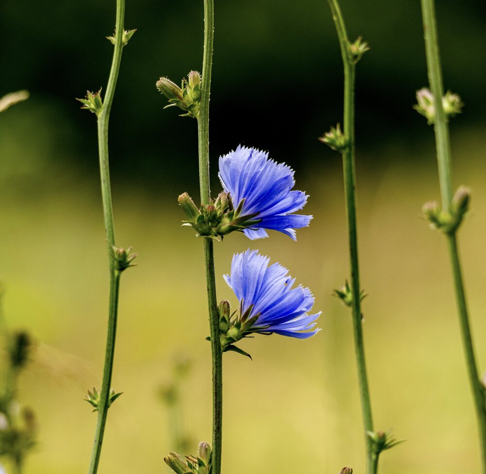 Photograph by Ирина Бабич
