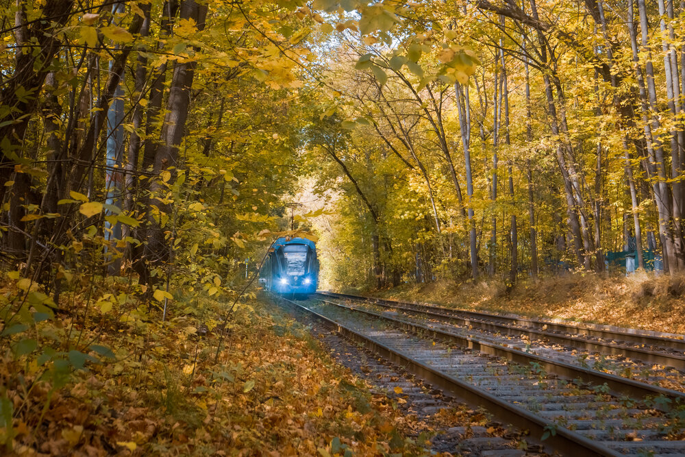 Photograph by Олег Дорошенко