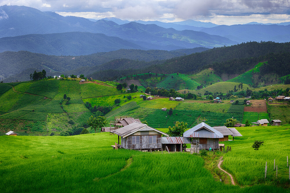 Photograph by CHANPANICHKIJJAKARN YUKONART