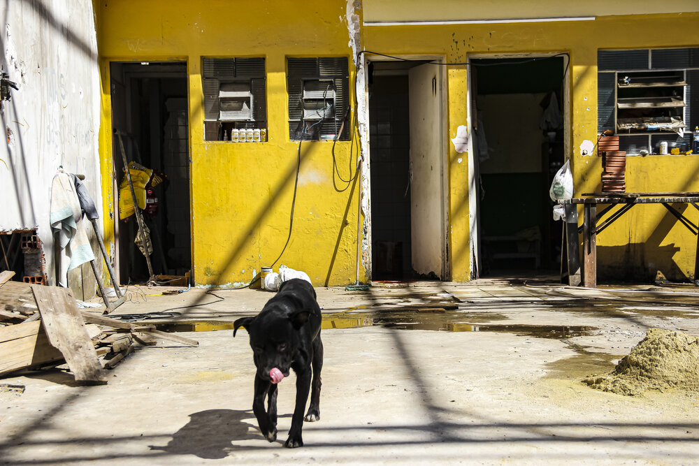 Photograph by roselino de oliveira rocha