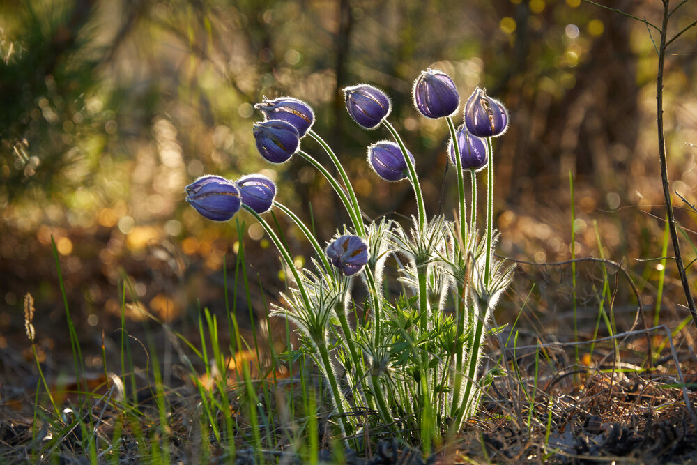 Photograph by Дмитрий Смирнов