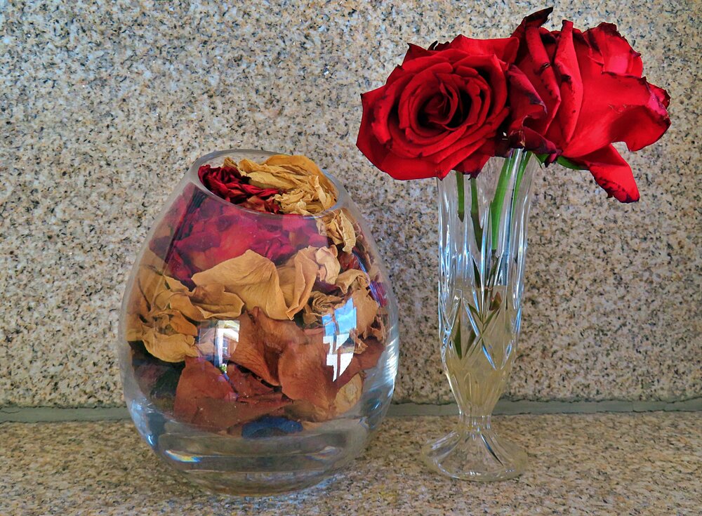 Roses and petals