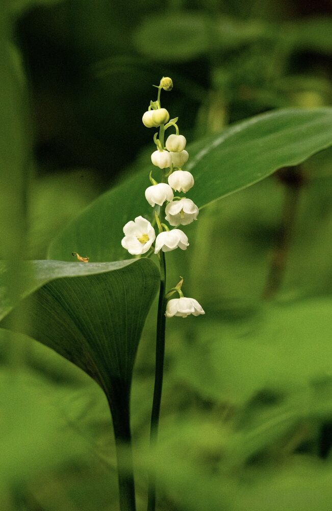 Photograph by Ирина Бабич