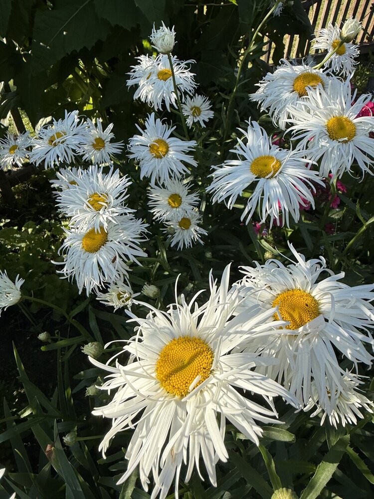 Photograph by Светлана Мельянцова
