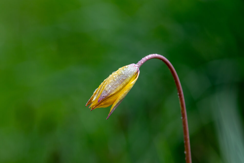 Photograph by Кабанов Игорь