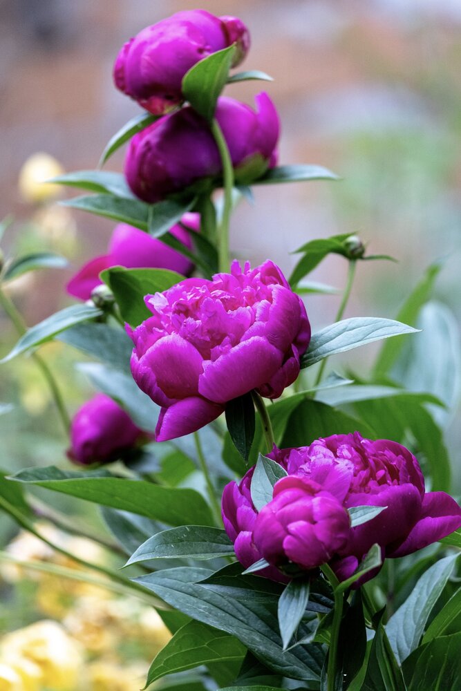 Photograph by Ирина Бабич