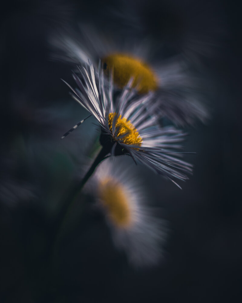 Photograph by Сергей Зайцев