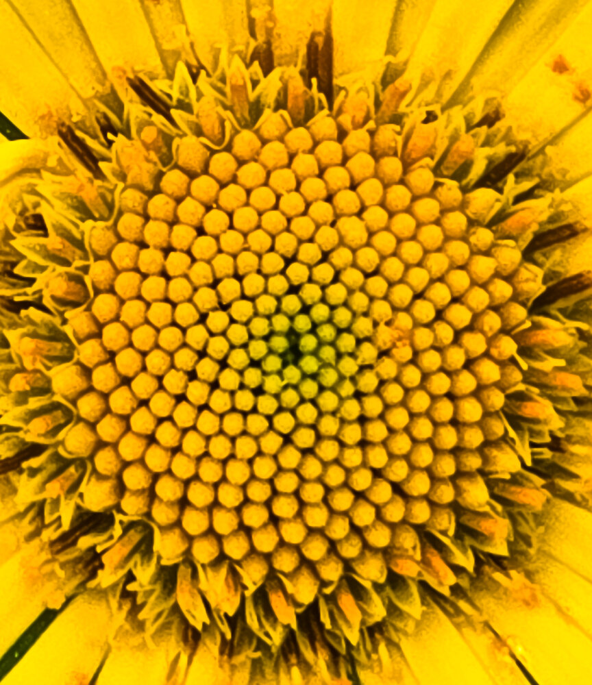 Photograph by Нина Зинченко