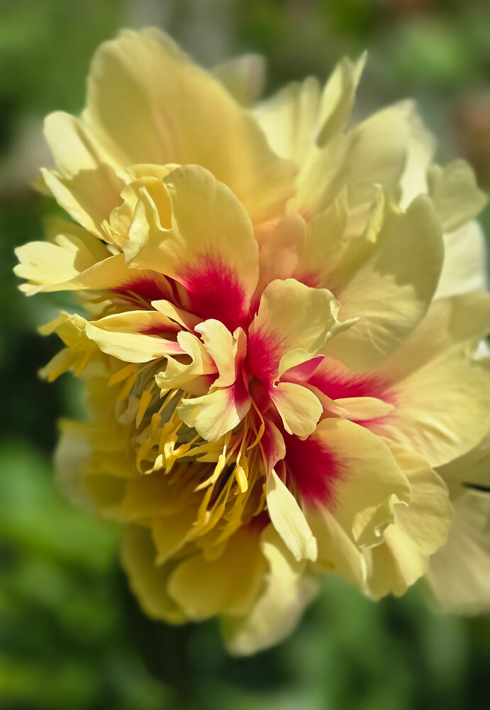 Photograph by Нина Зинченко