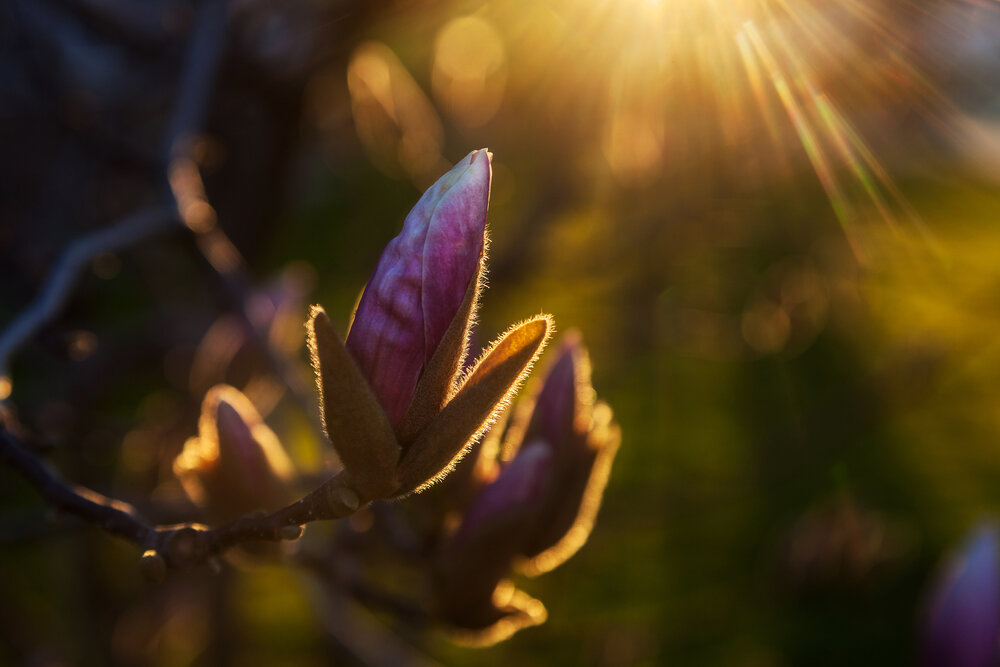 Photograph by Татьяна Каскевич