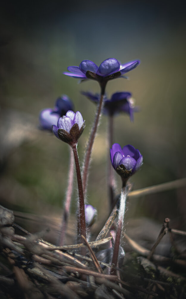 Photograph by Сергей Зайцев