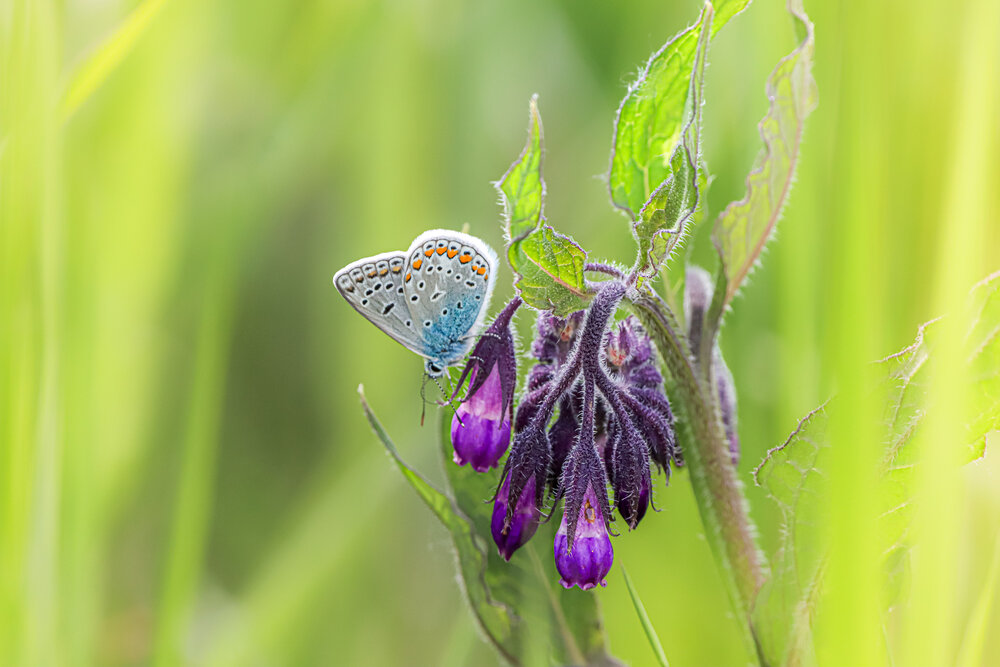 Photograph by Аня Проскурякова