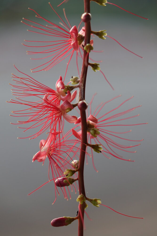 Photograph by Vy Van Bui