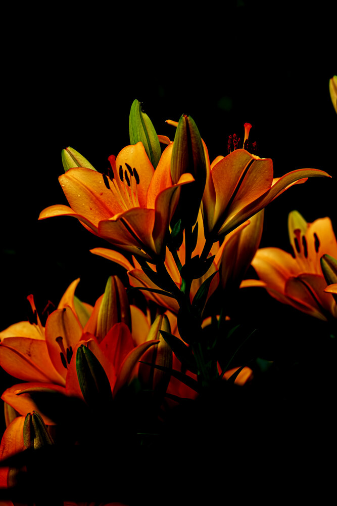 Photograph by Александр Удальчиков