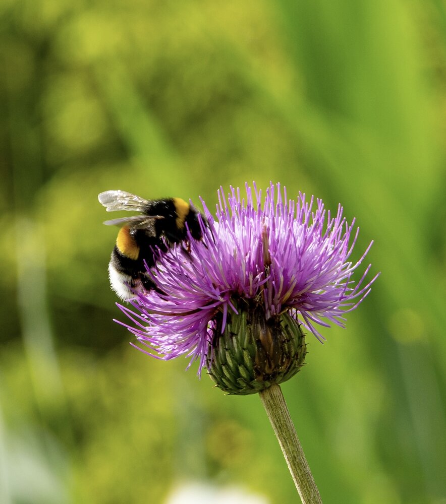 Photograph by Ирина Бабич