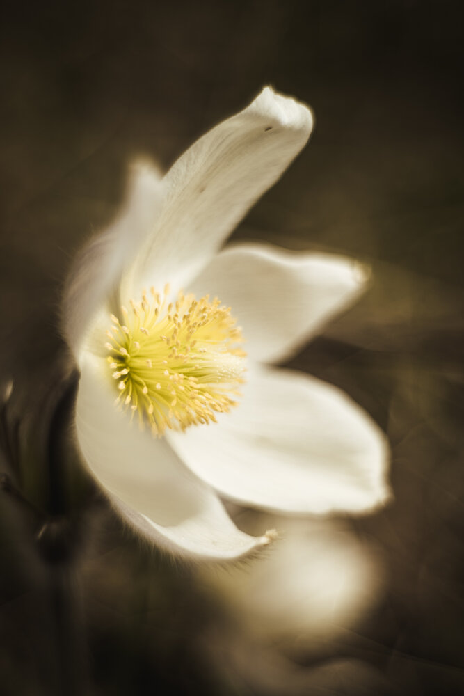 Фотография автора Anton Ry