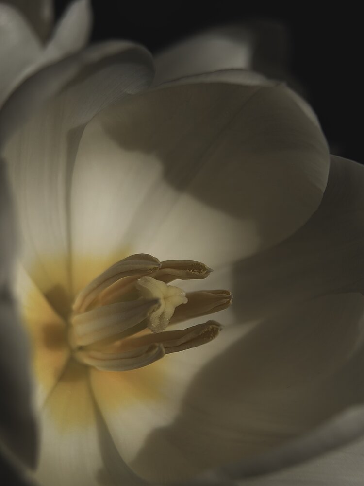Photograph by Ксения Литвиненко