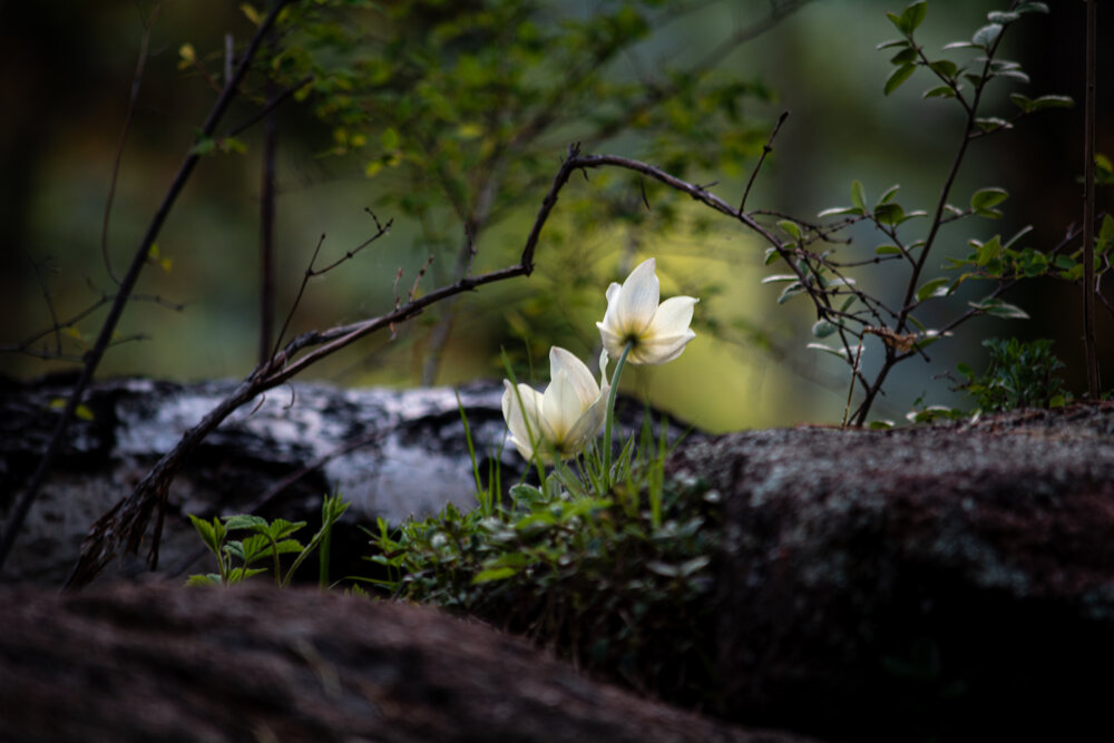 Photograph by Данил Баглаев
