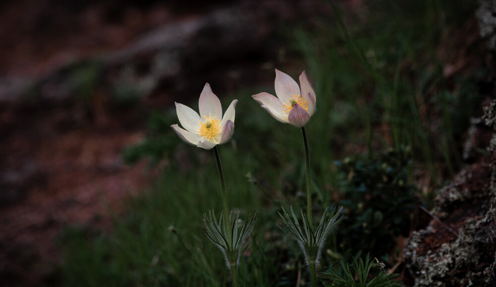 Photograph by Данил Баглаев