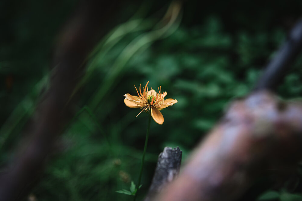Photograph by Данил Баглаев