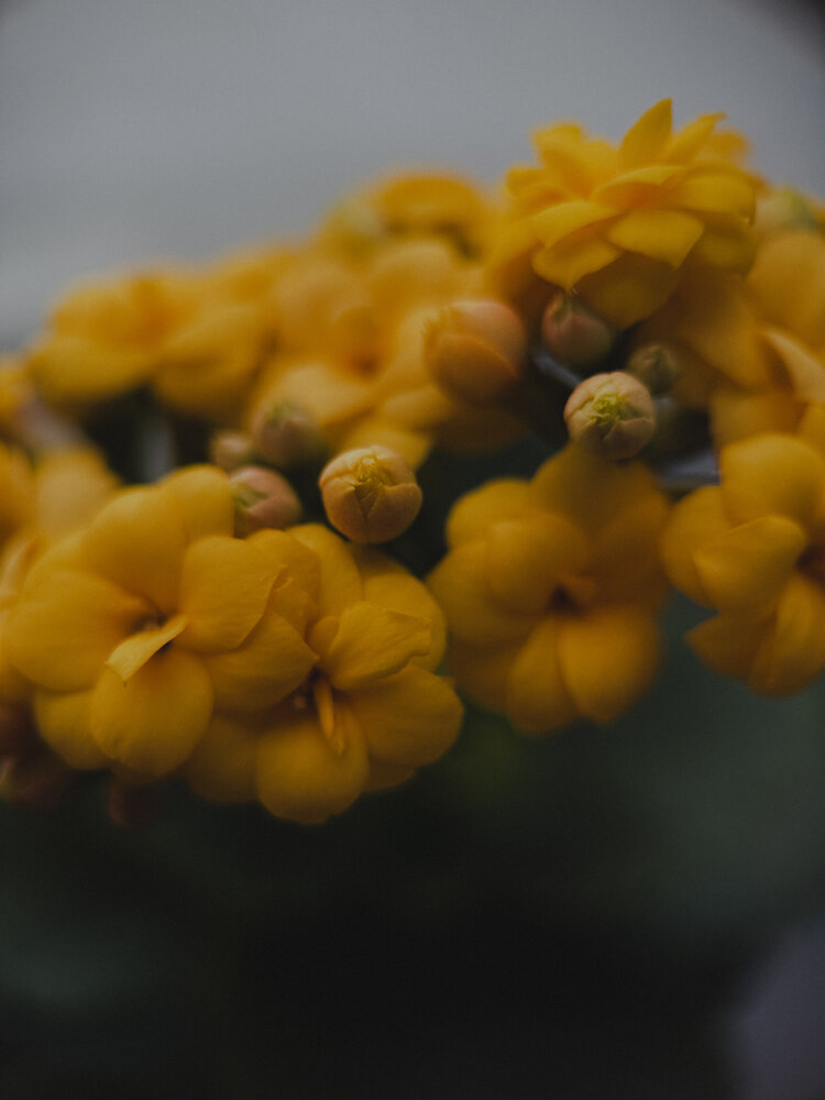 Photograph by Ляйсан Саляхиева