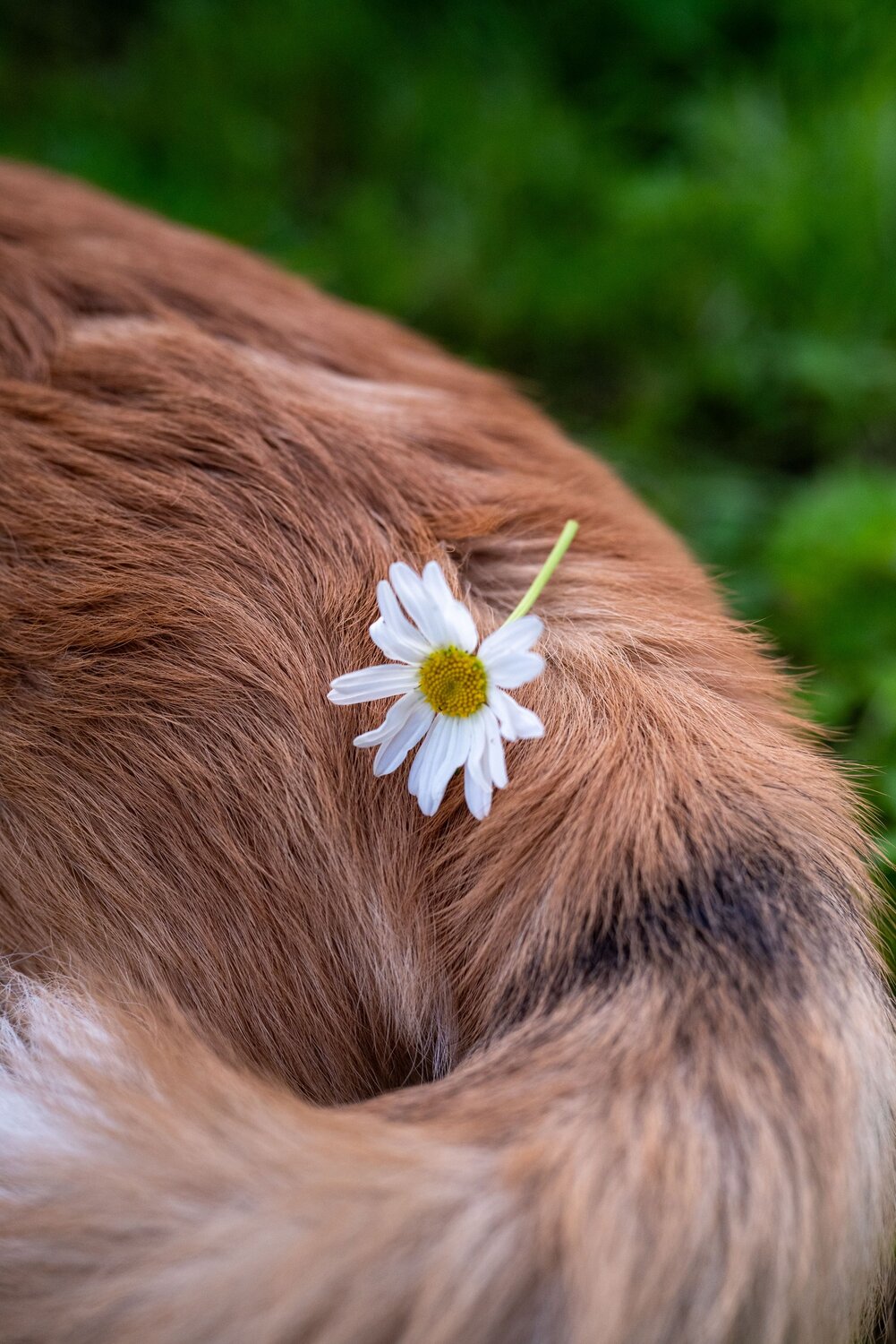 Photo #13850542