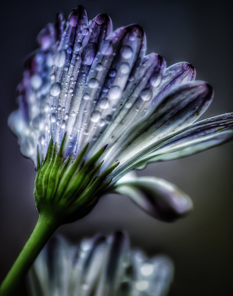 Photograph by Evangelia Mavridis Photography
