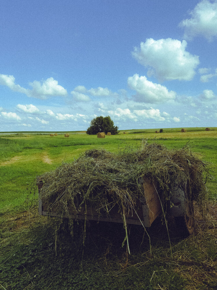 Photograph by Ляйсан Саляхиева