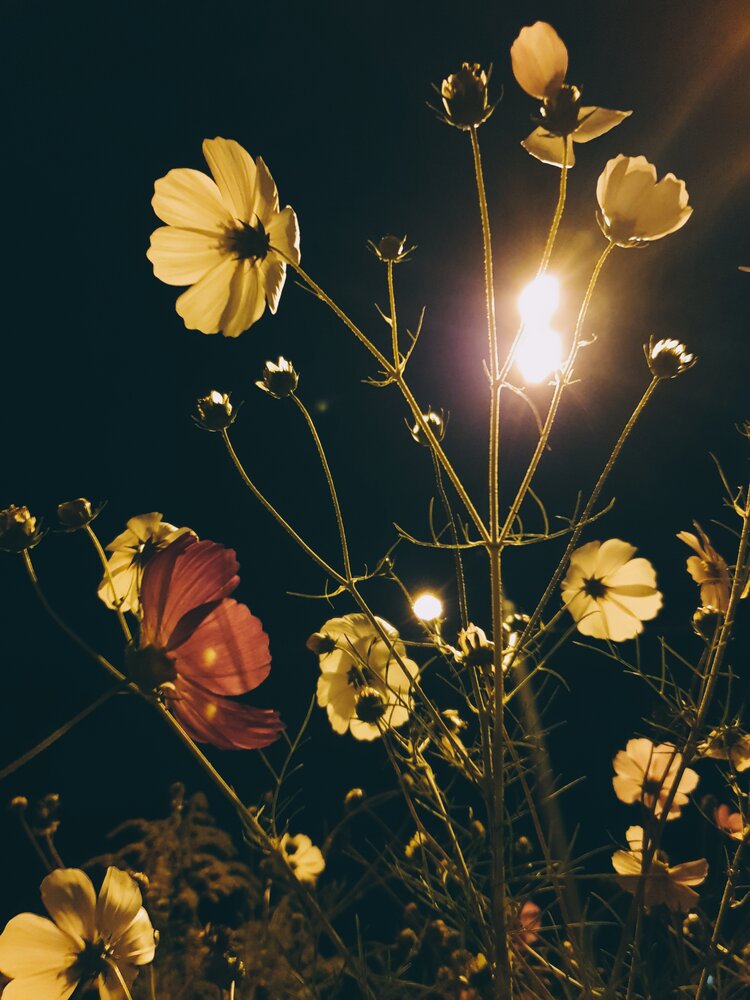 Photograph by Оксана Бессчетнова