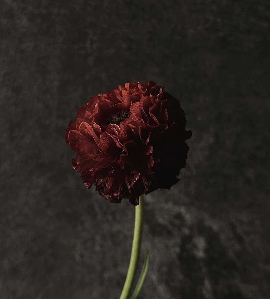 Photograph by Erilina Larisa