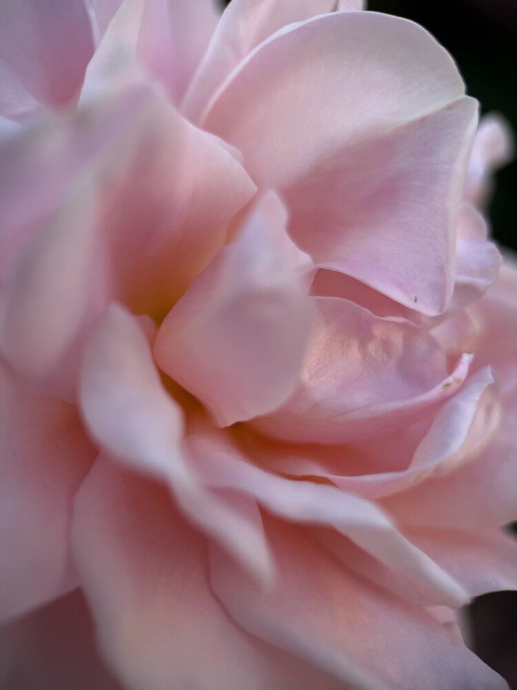 Photograph by Ляйсан Саляхиева