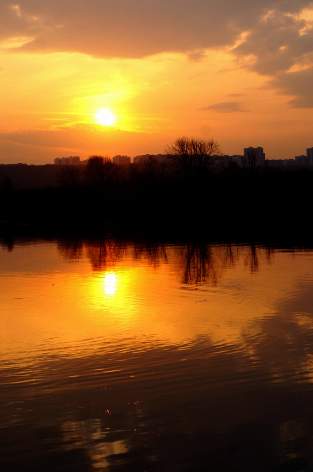 Photo #13850604