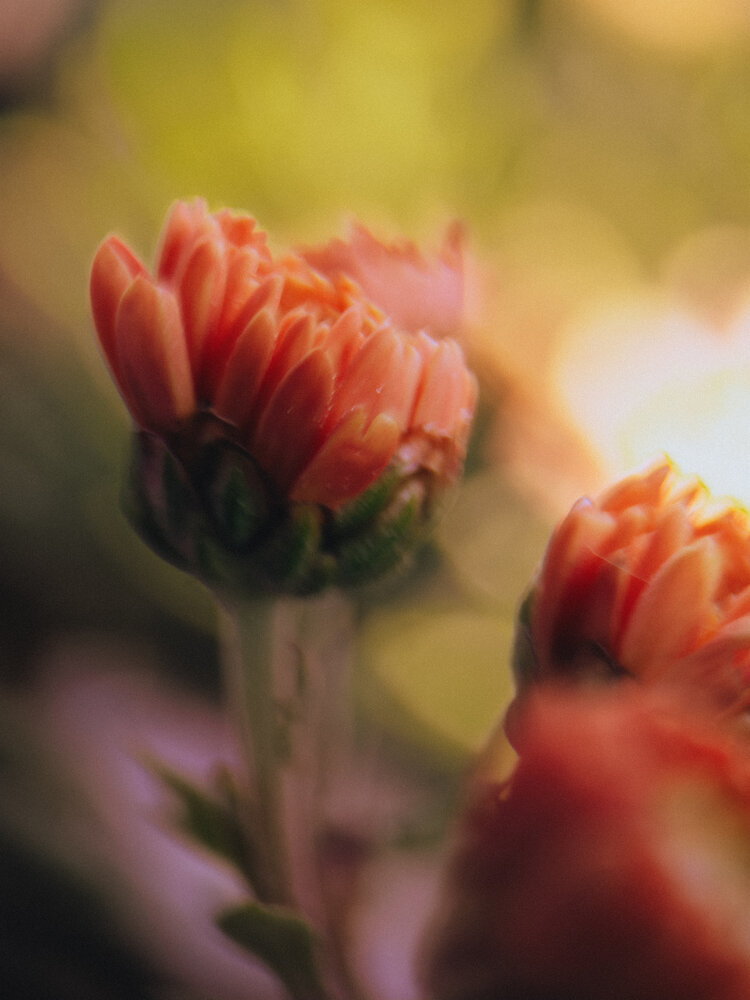 Photograph by Ляйсан Саляхиева
