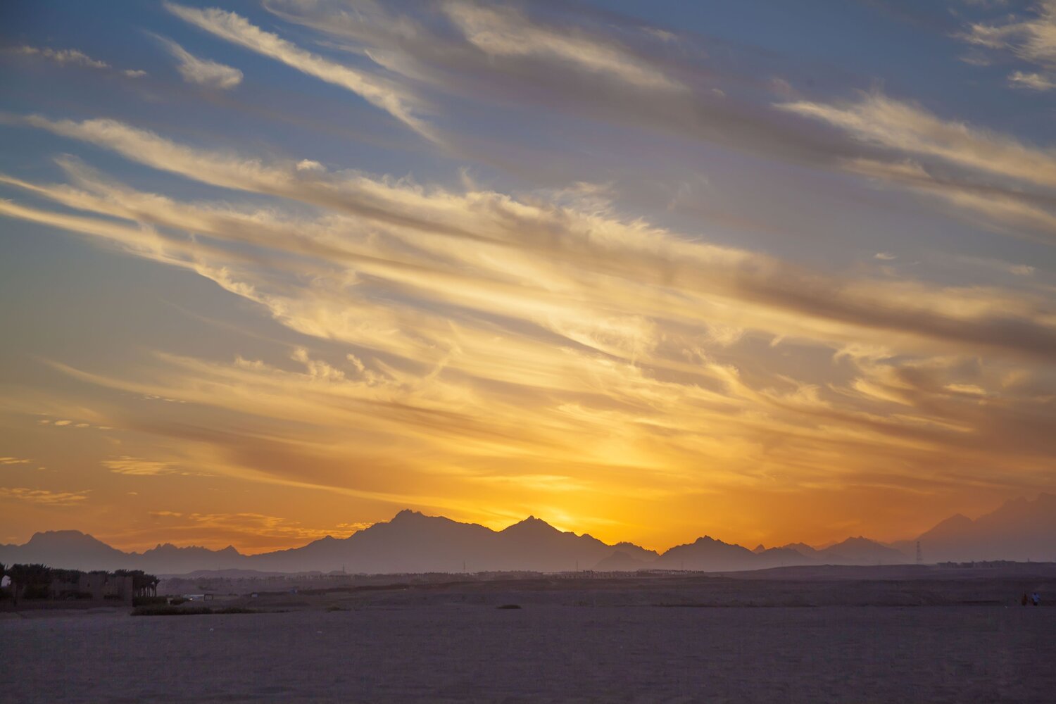Photo #13850647