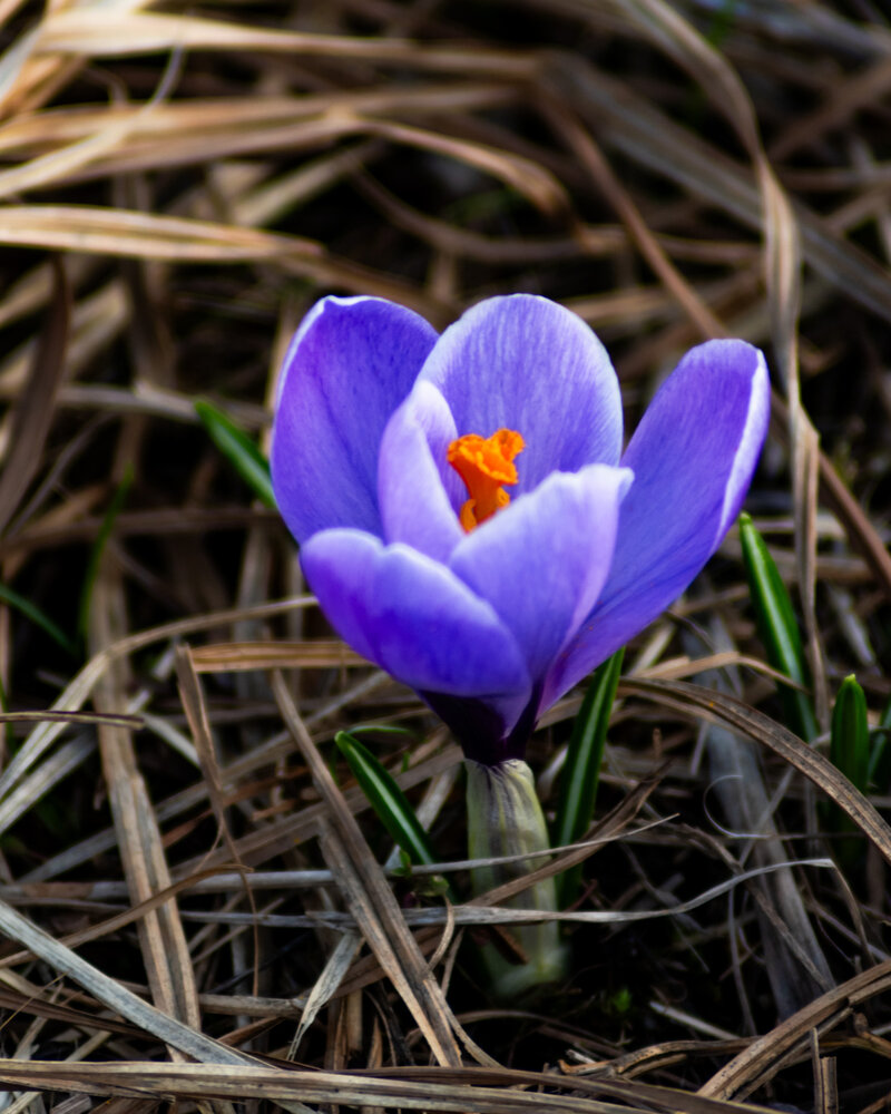 Photograph by Галина Эмберг