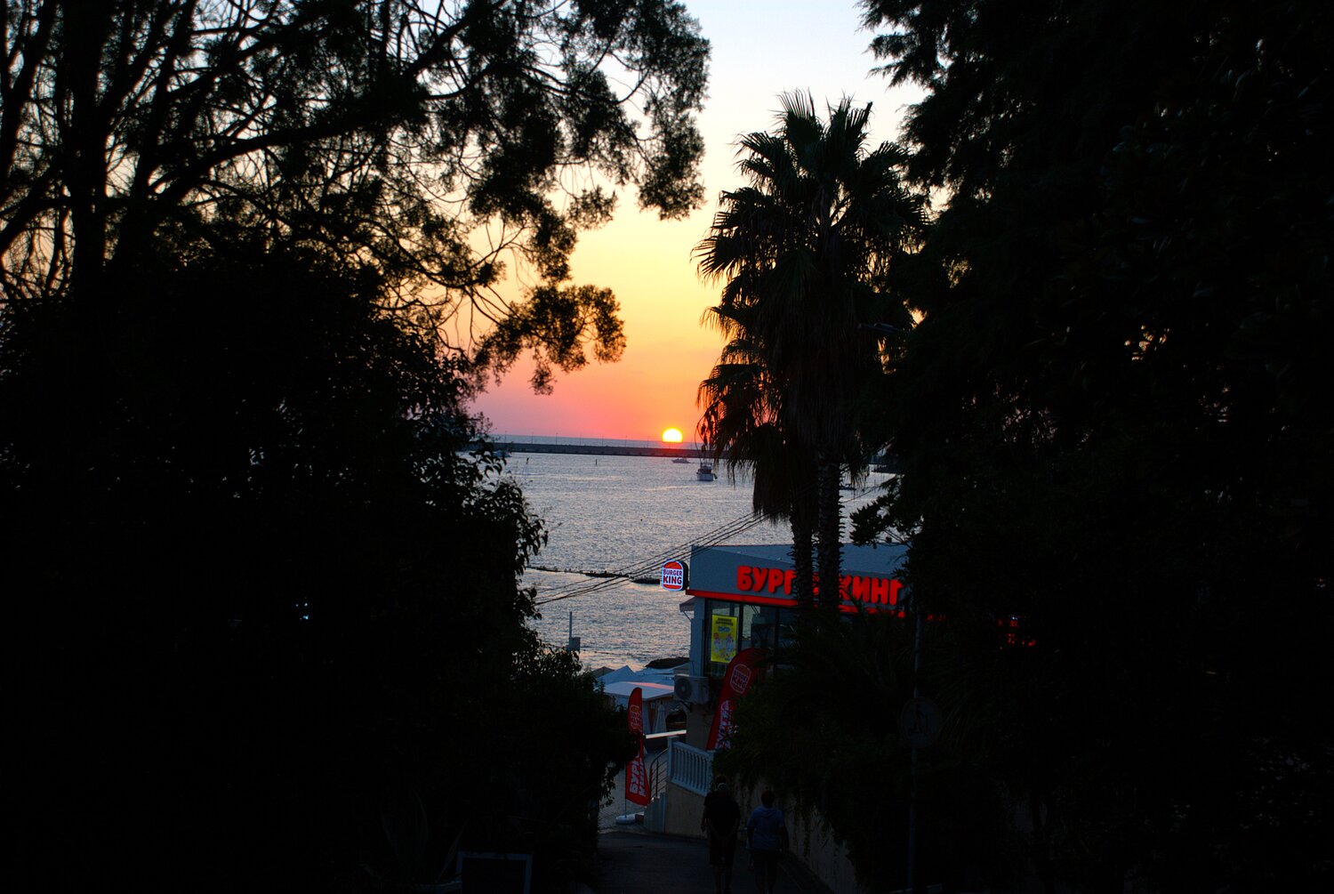 Photo #13850683