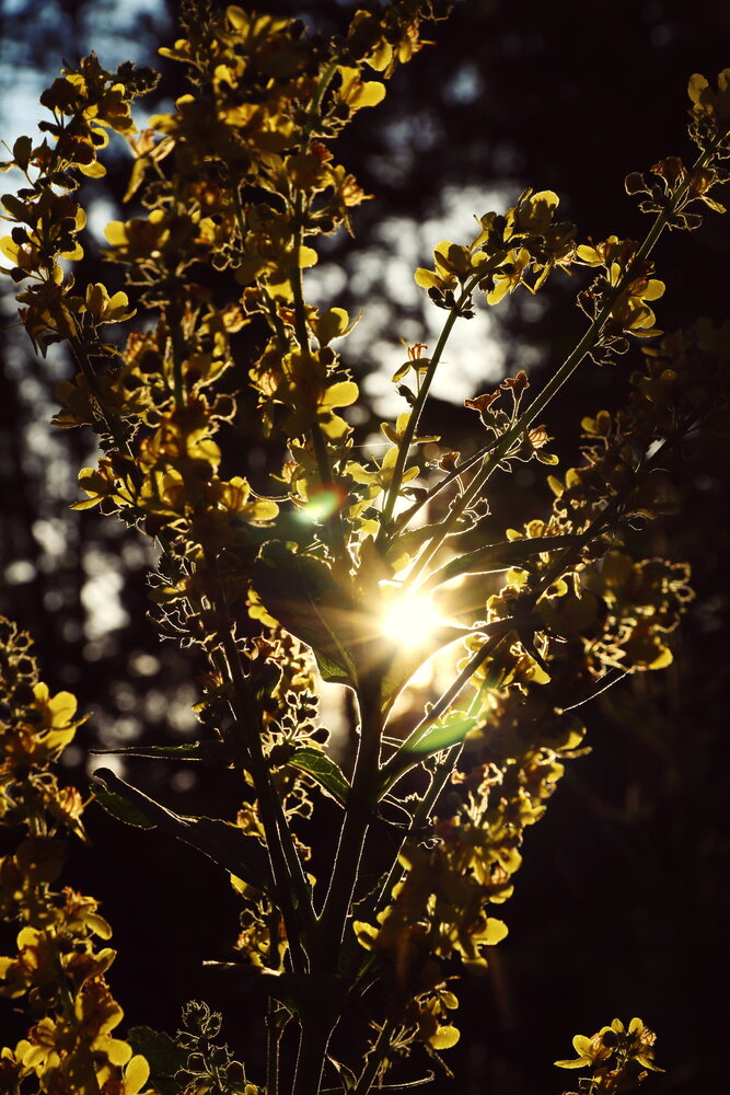 Photograph by Юрий Звонарев