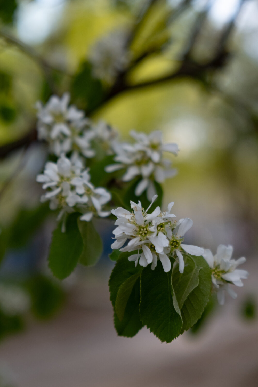 Photo #13850754