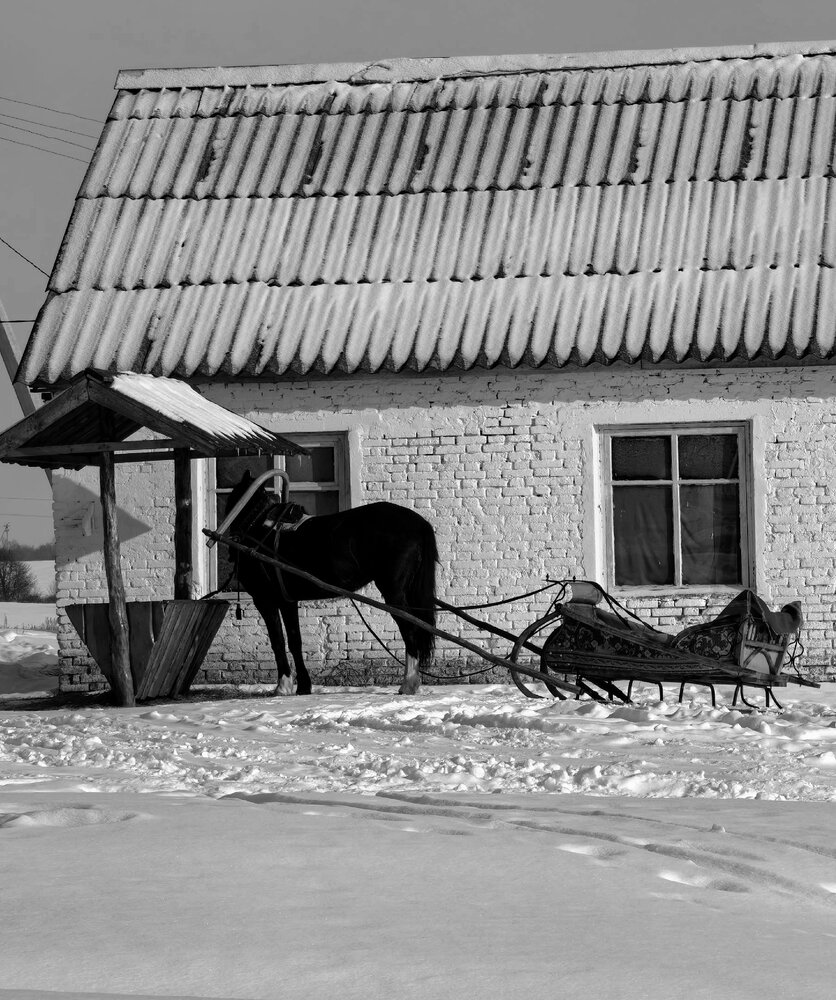 Photograph by Татьяна Винокурова