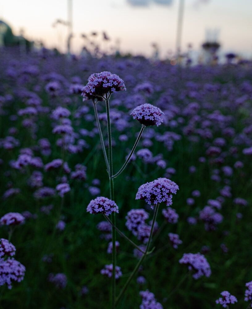 Photograph by Галина Эмберг