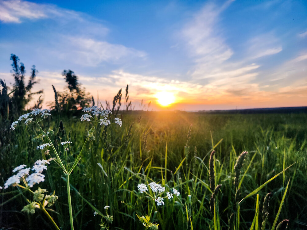 Photograph by Даша Анохина
