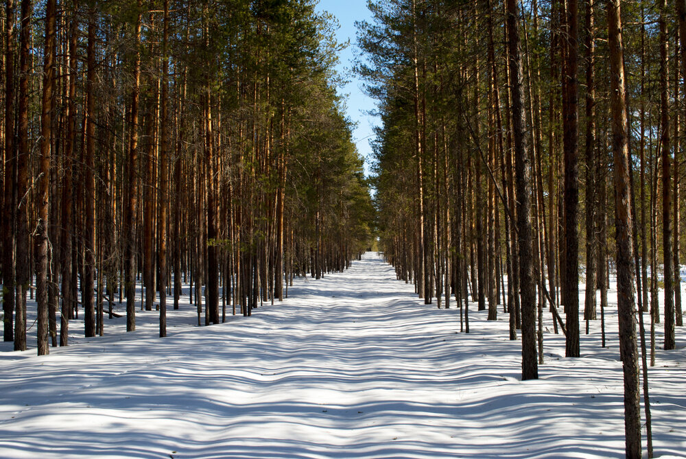 Photograph by Олег Малетин