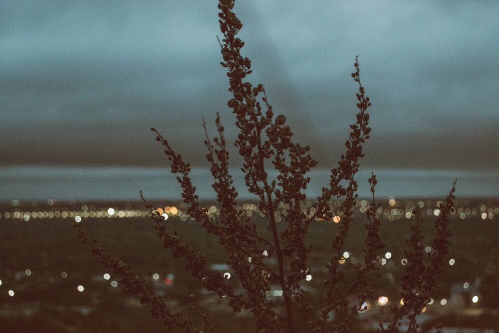 Photograph by Мартынов Константин