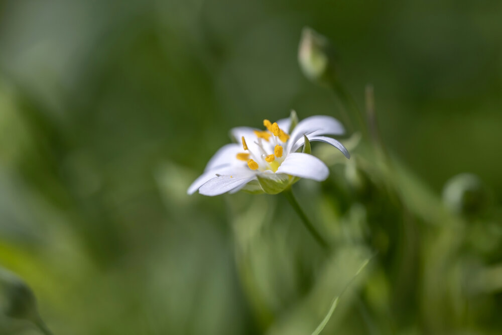 Photograph by Ирина Петракова
