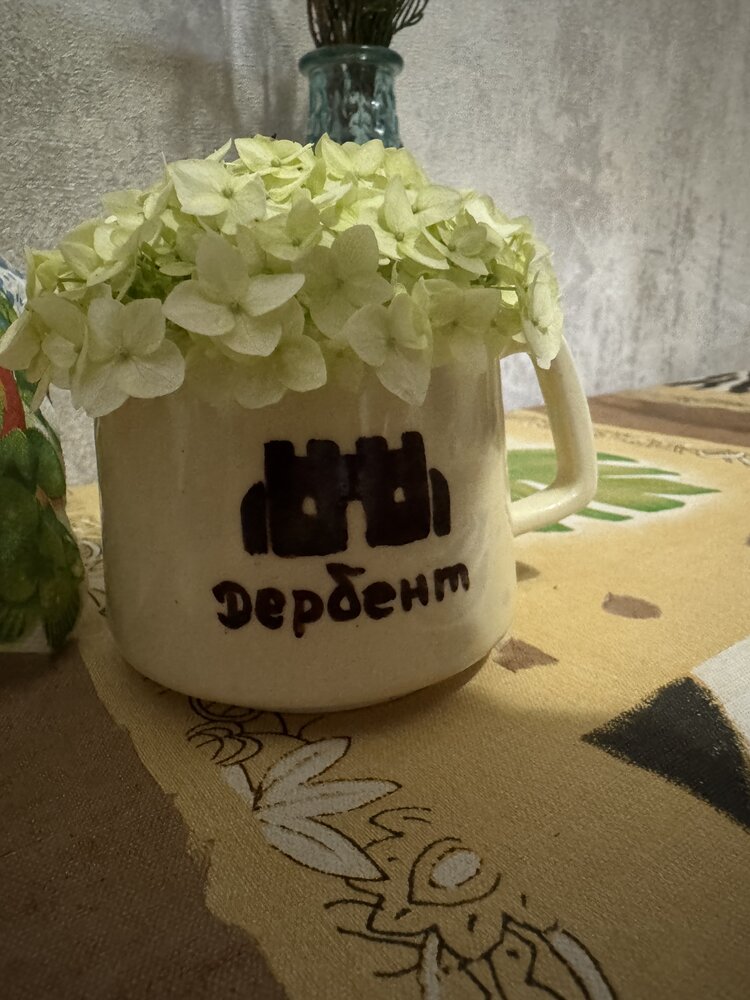 Фотография автора Дмитриева Жанна